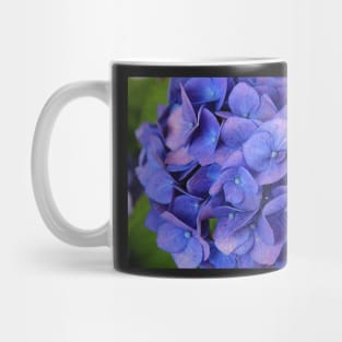 Blue hydrangea Mug